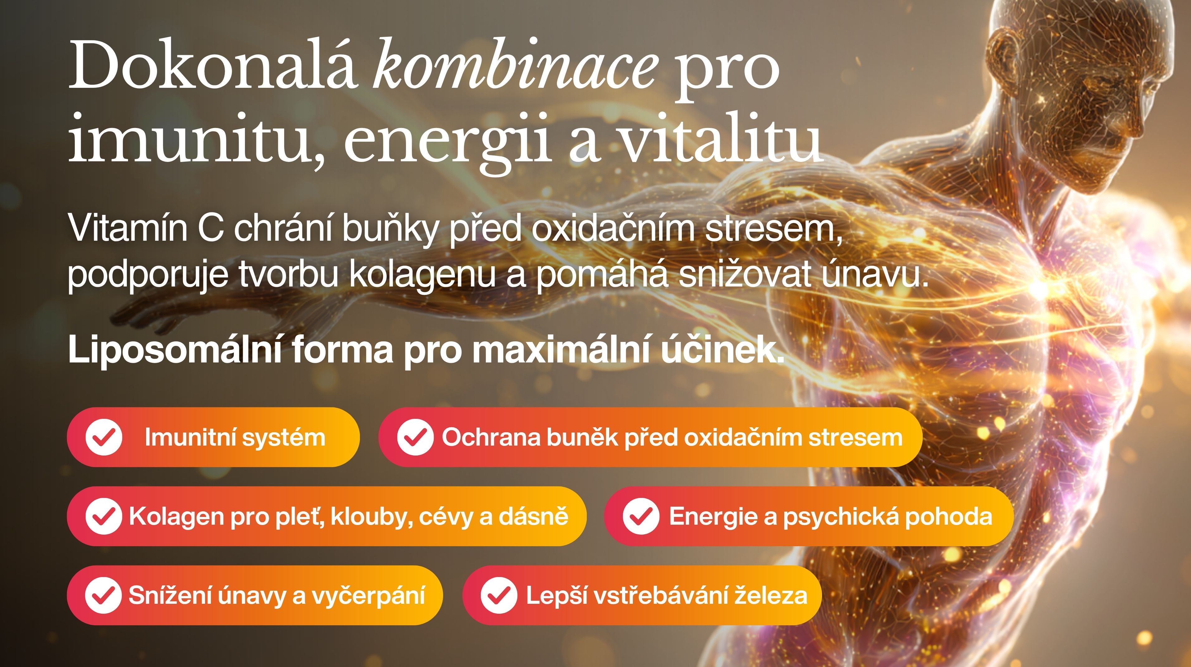 PREMIUM Liposomální Vitamín C 832 mg ANTIOXIDANT BERRY BOOST (+ Acerola, Camu Camu, amla, šípek, bioflavonoidy), Vysoce vstřebatelný, 60 kapslí